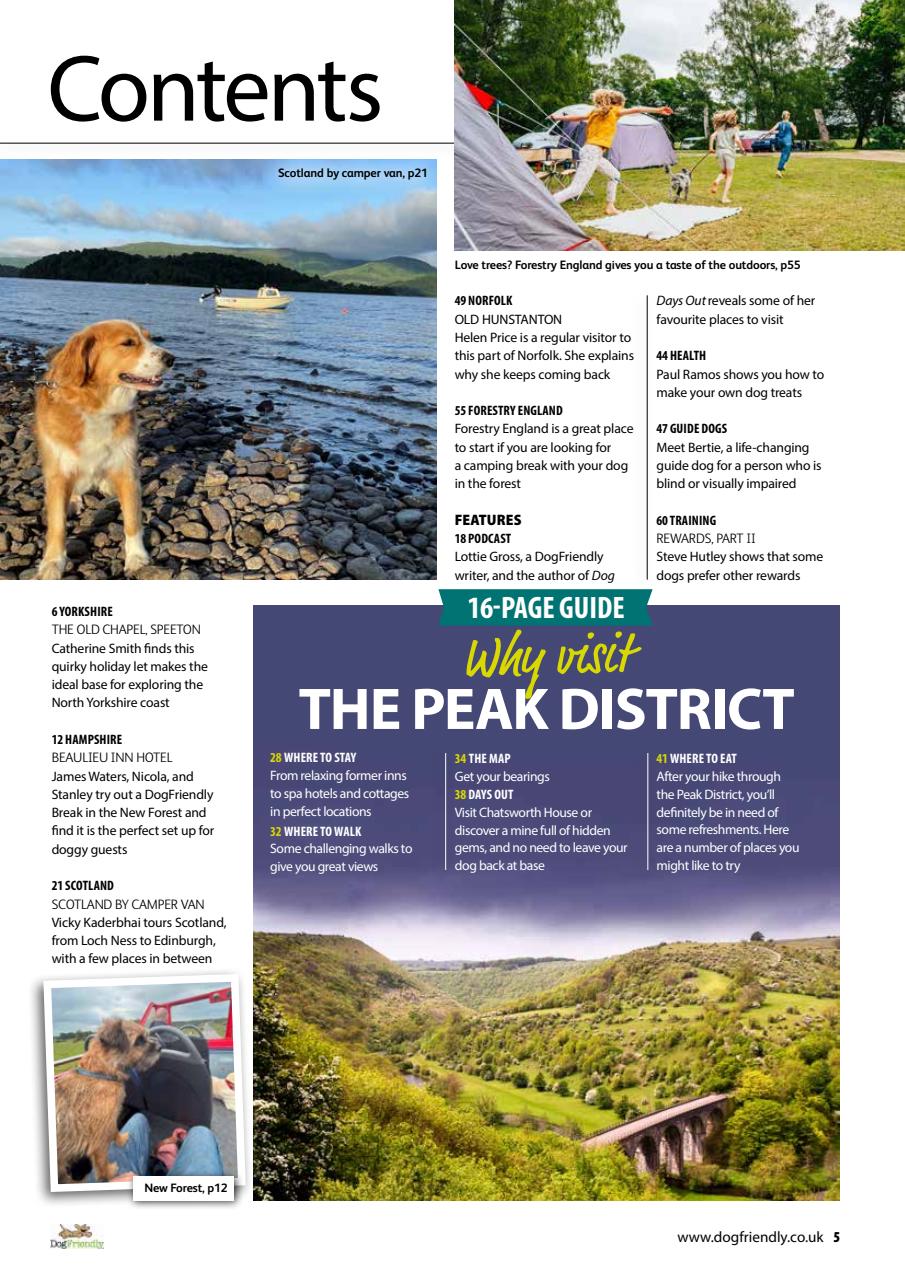 Dog Friendly Preview Pages