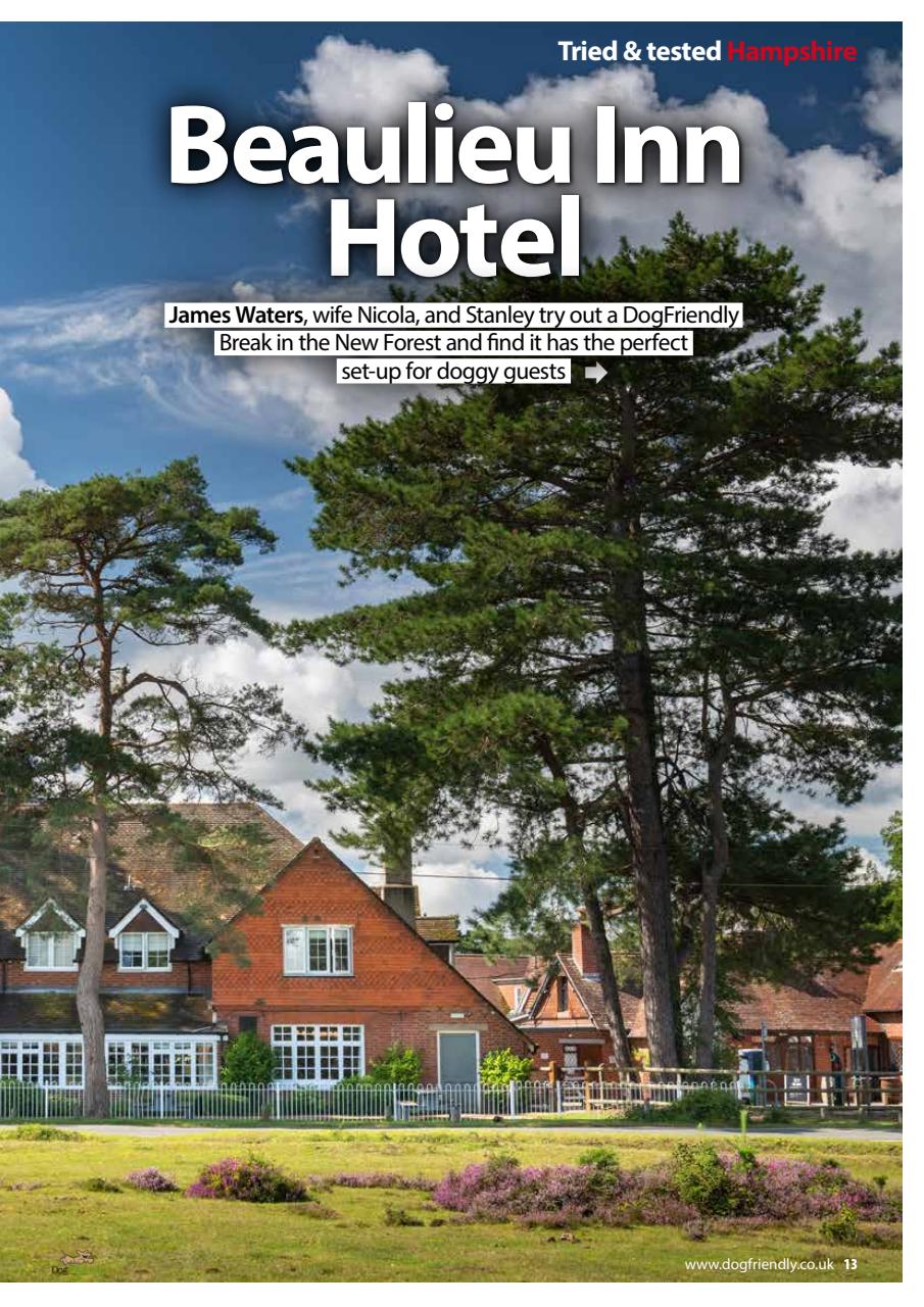 Dog Friendly Preview Pages