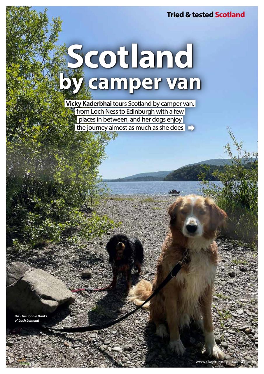 Dog Friendly Preview Pages