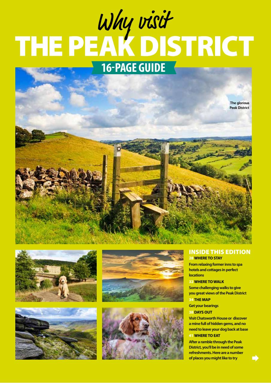 Dog Friendly Preview Pages