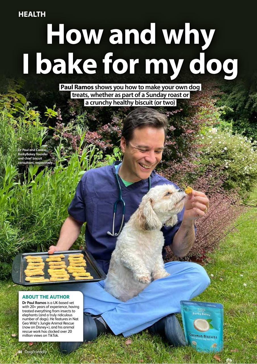 Dog Friendly Preview Pages