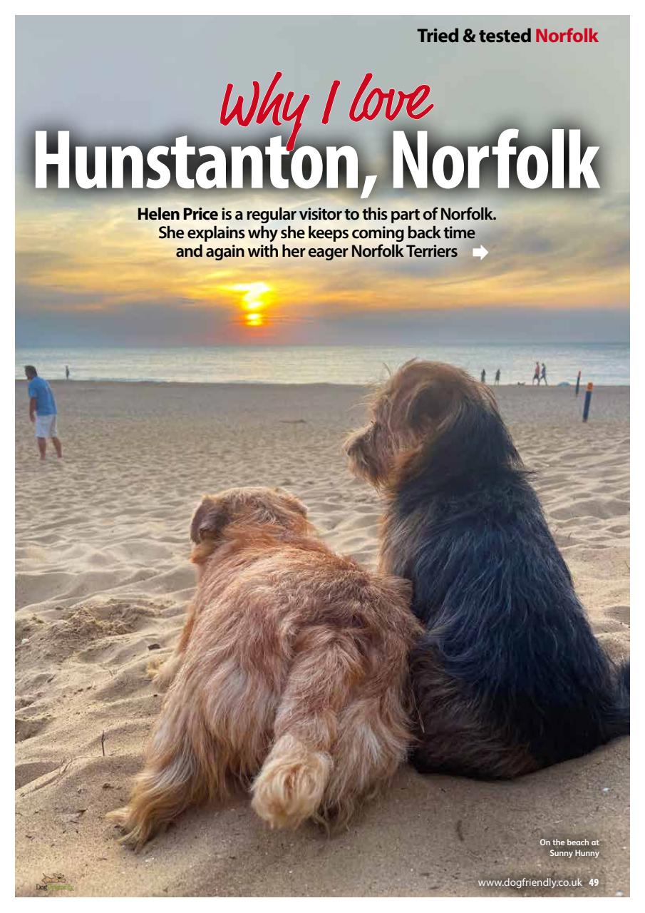 Dog Friendly Preview Pages