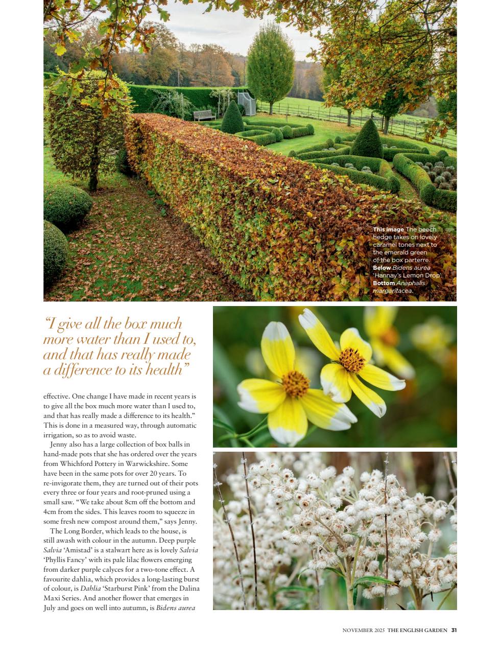 The English Garden Preview Pages