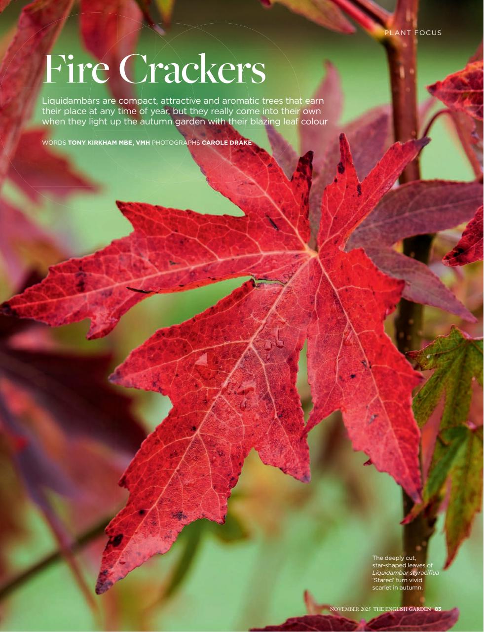 The English Garden Preview Pages