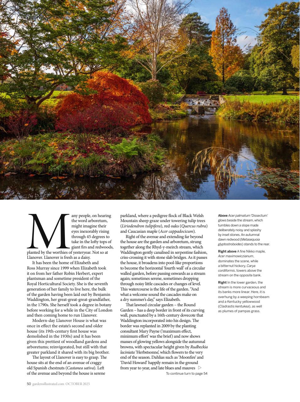 Gardens Illustrated Preview Pages