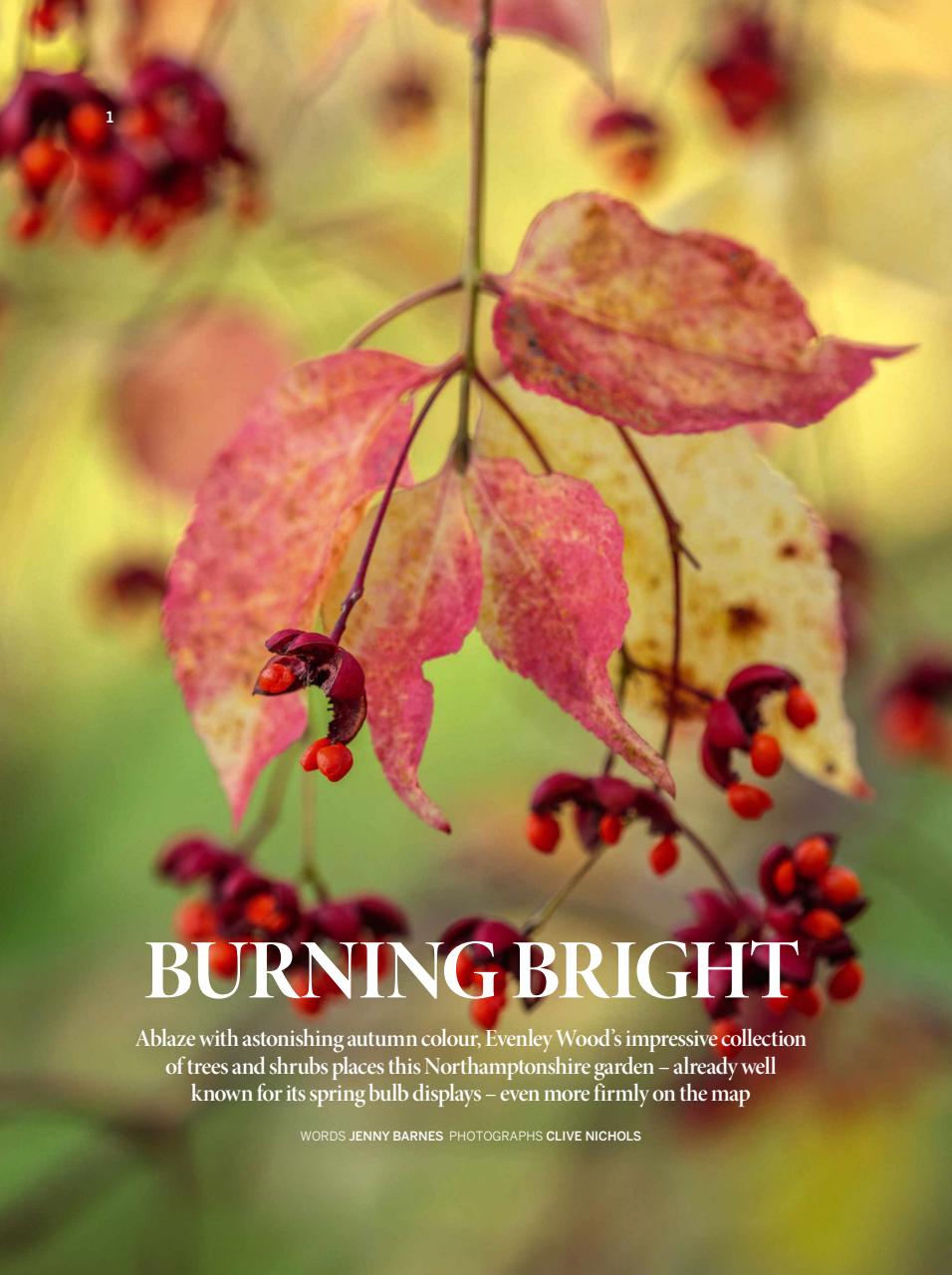 Gardens Illustrated Preview Pages