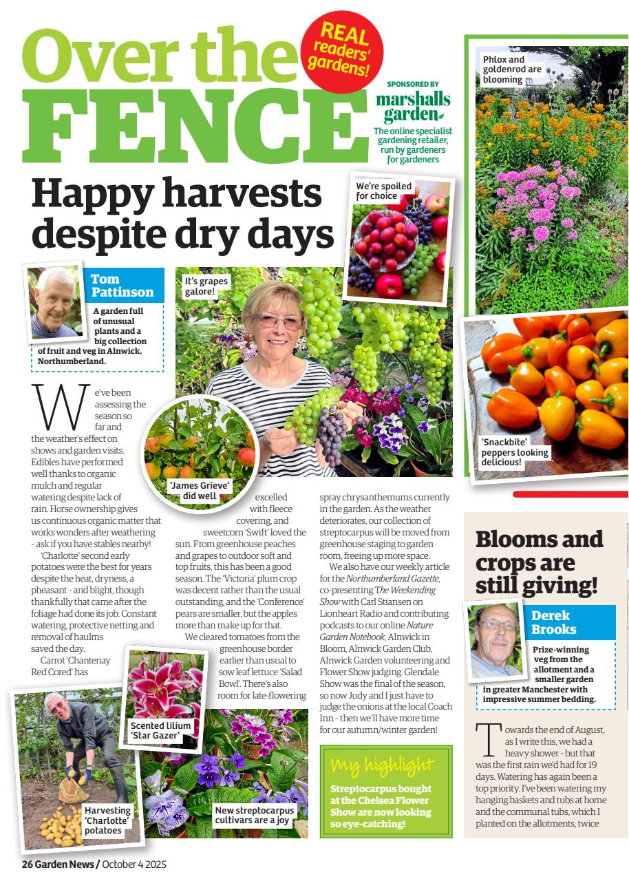 Garden News Preview Pages