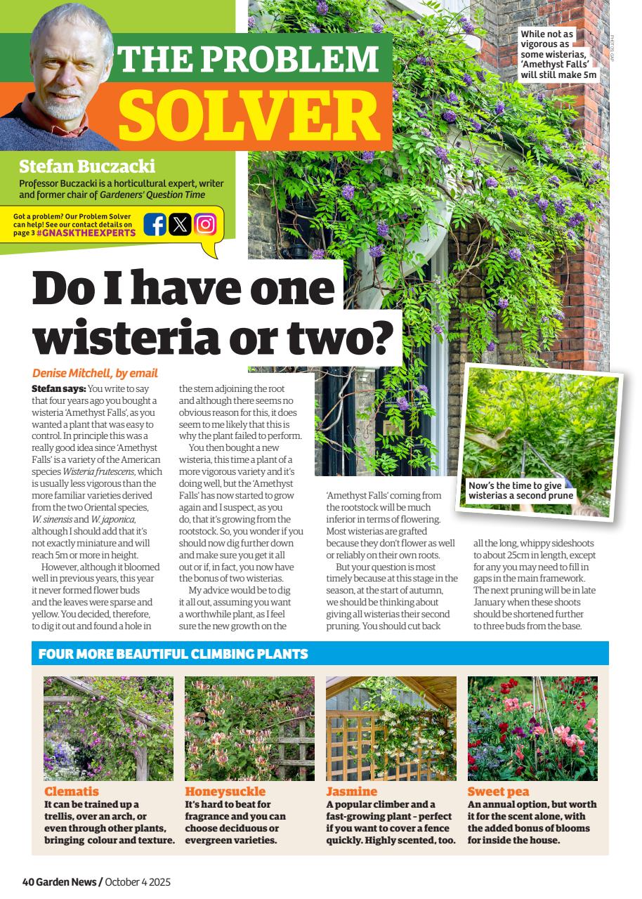 Garden News Preview Pages