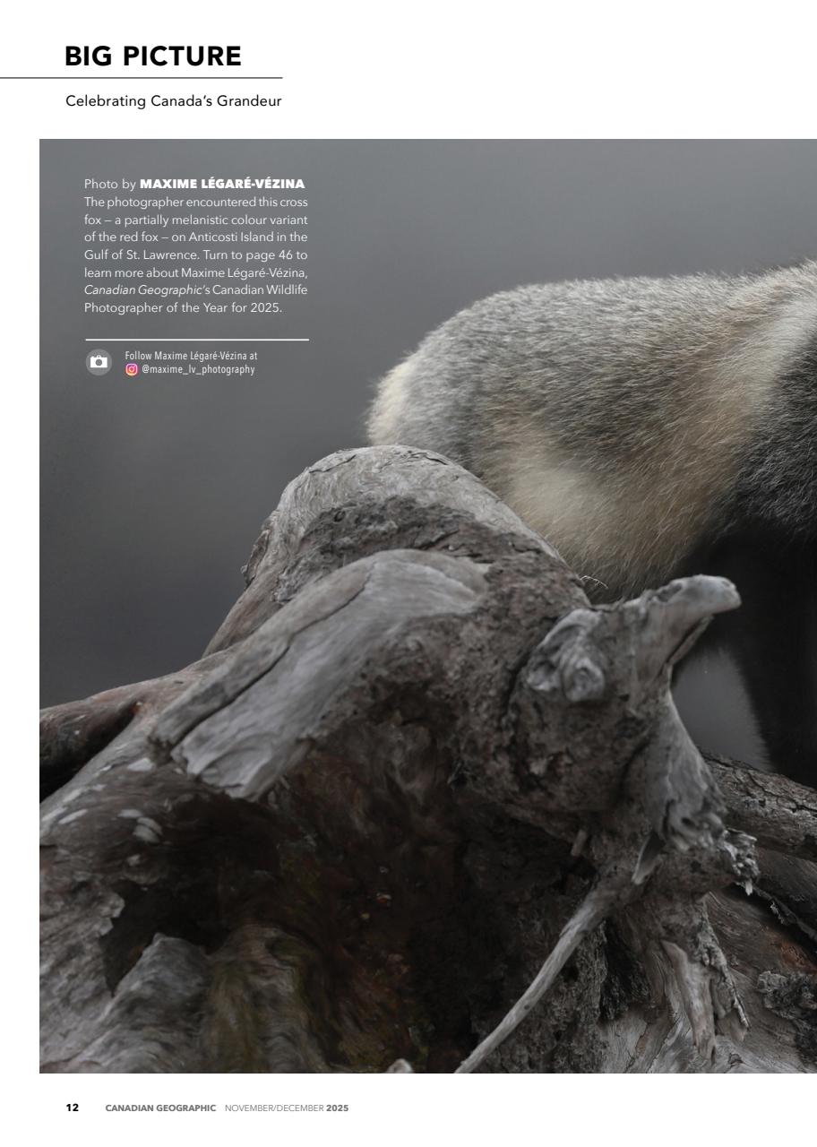 Canadian Geographic Preview Pages