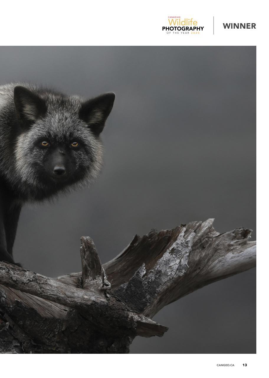 Canadian Geographic Preview Pages