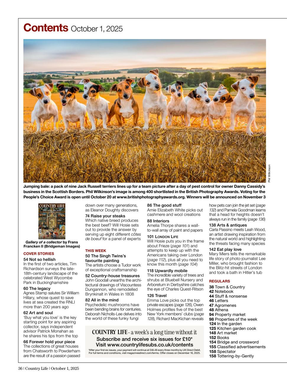 Country Life Preview Pages