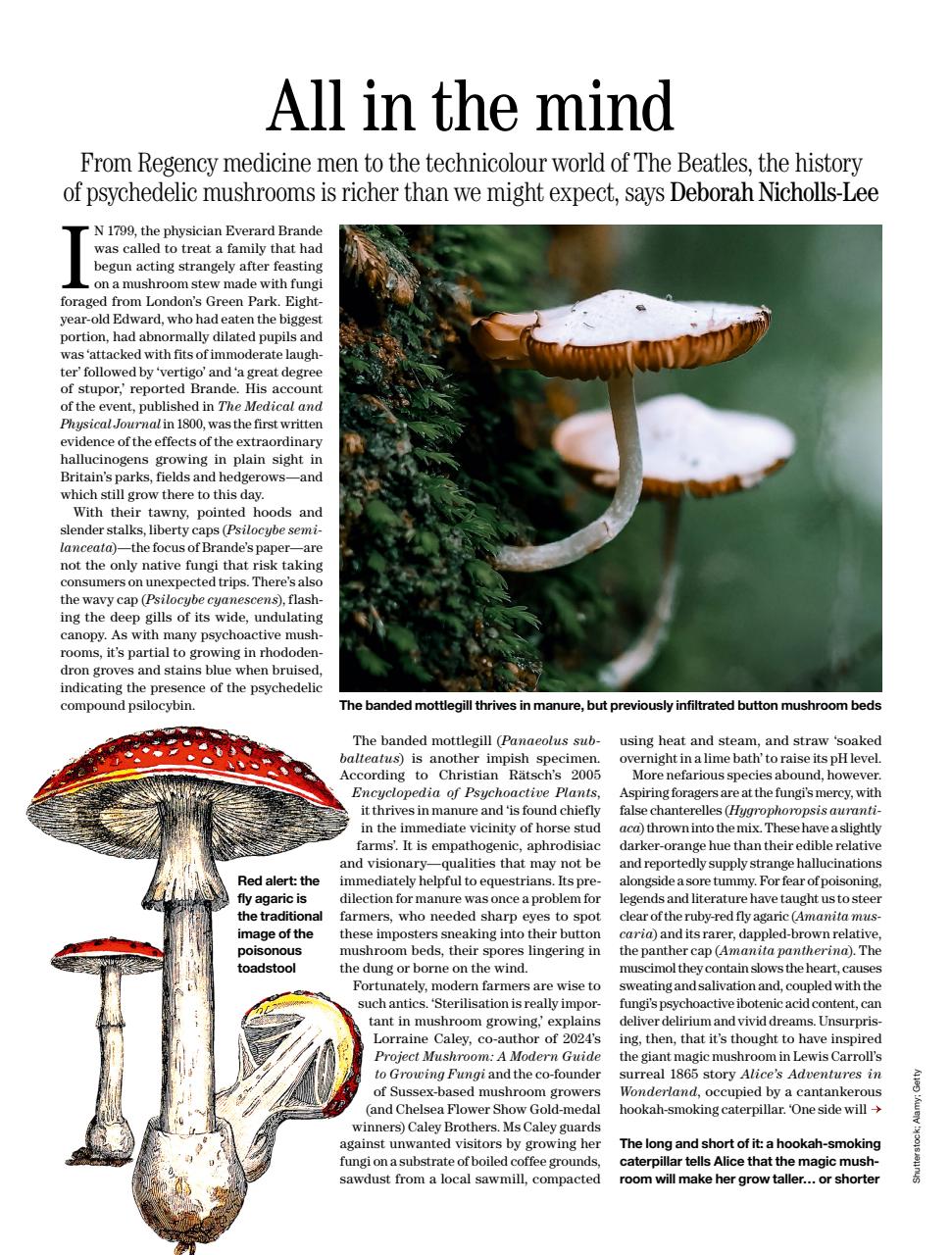 Country Life Preview Pages