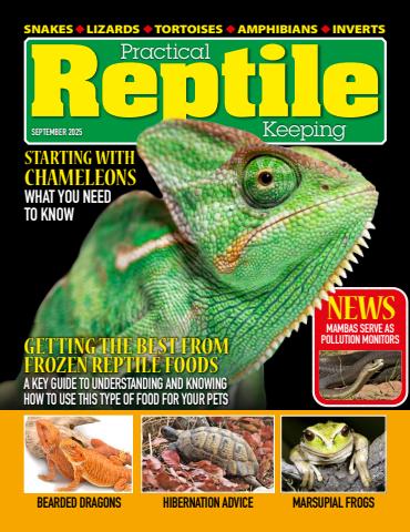 Practical Reptile Keeping issue September 2025