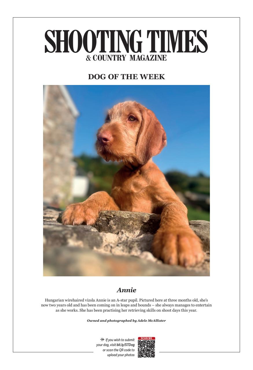 Shooting Times & Country Preview Pages