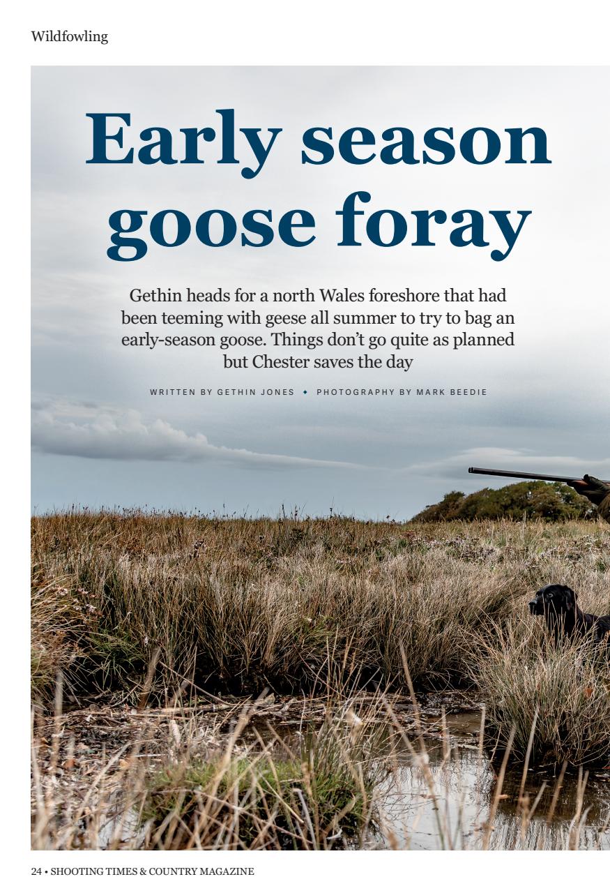 Shooting Times & Country Preview Pages