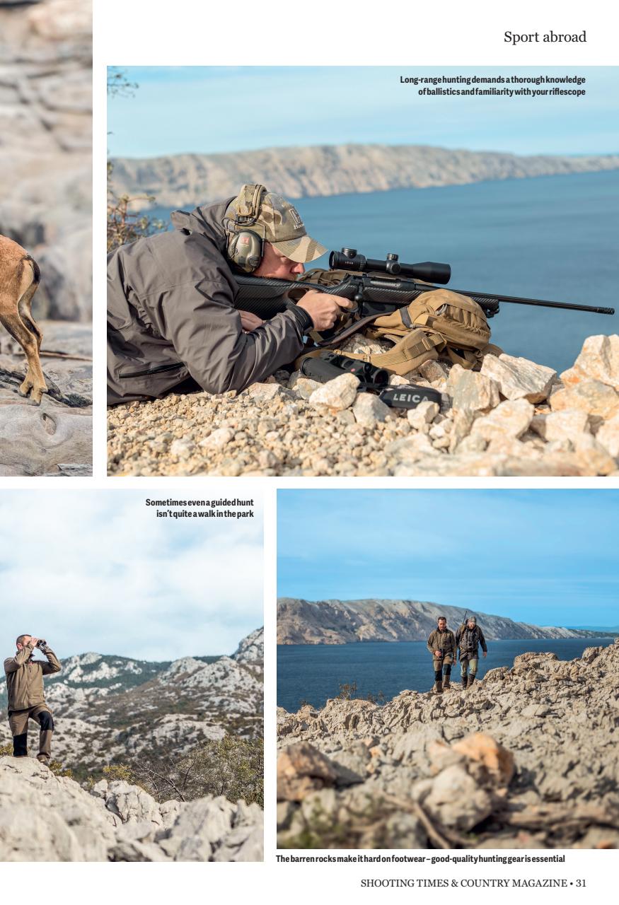 Shooting Times & Country Preview Pages