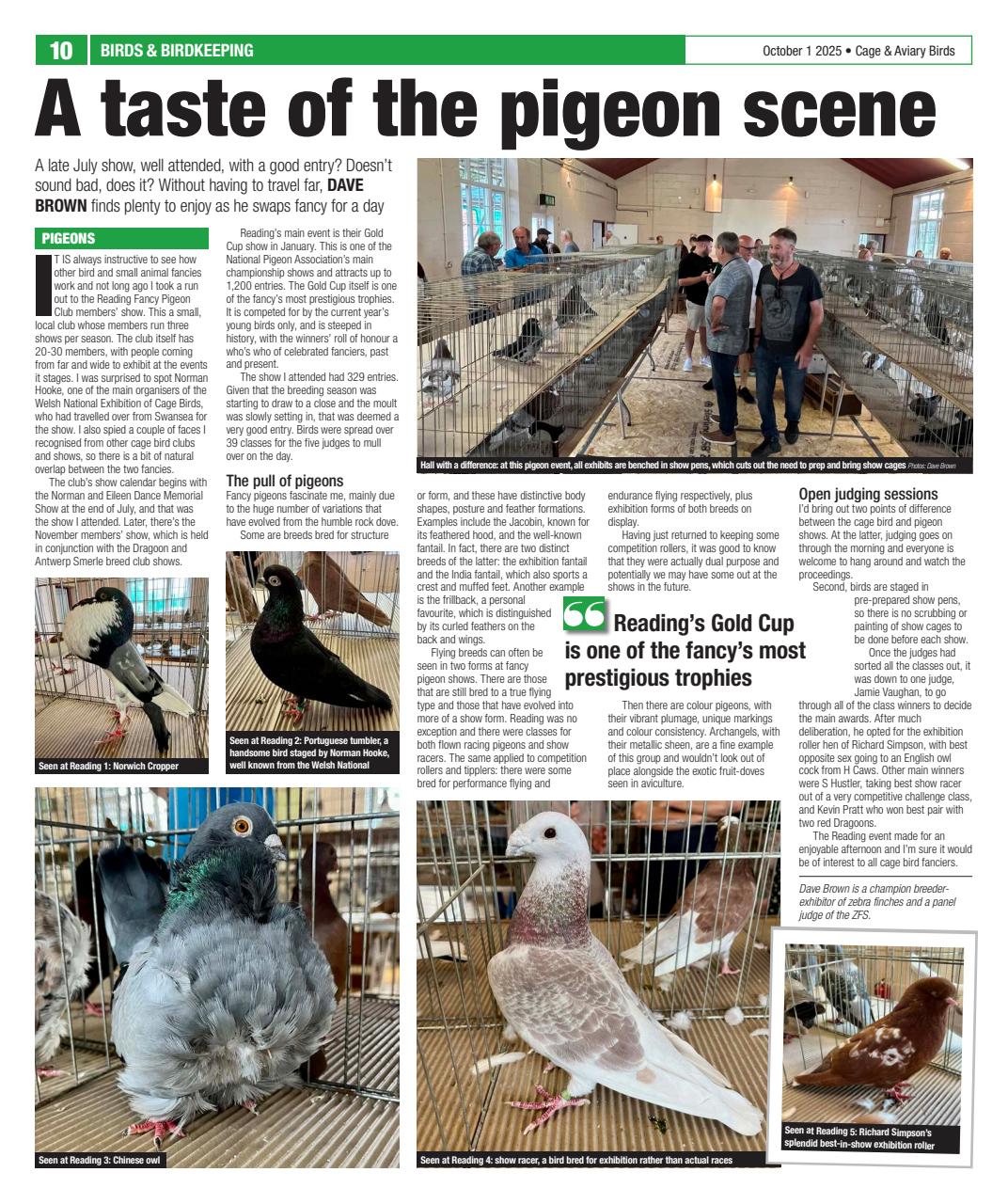 Cage & Aviary Birds Preview Pages