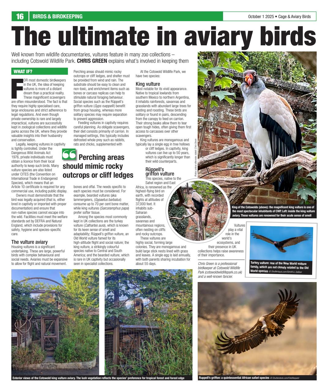 Cage & Aviary Birds Preview Pages