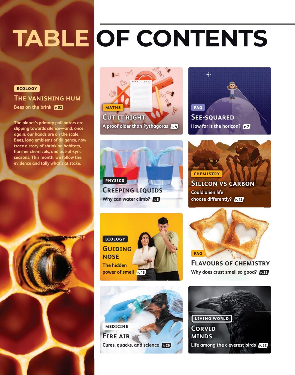 OYLA Magazine Preview Pages