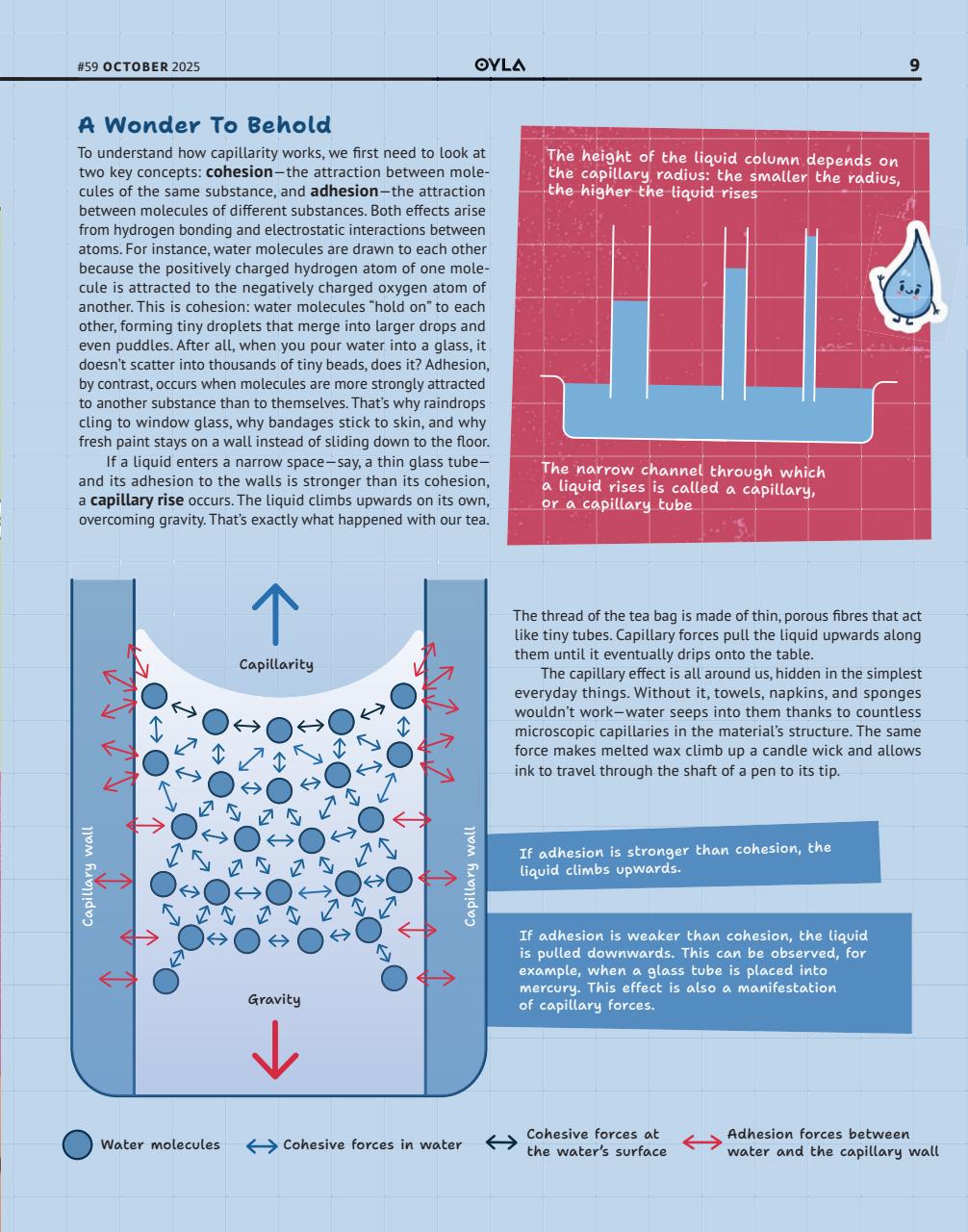 OYLA Magazine Preview Pages