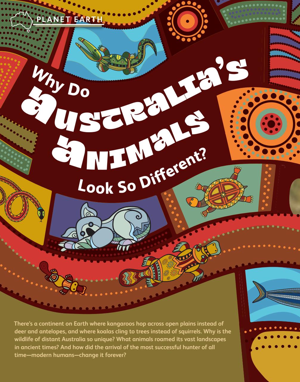 OYLA Magazine Preview Pages