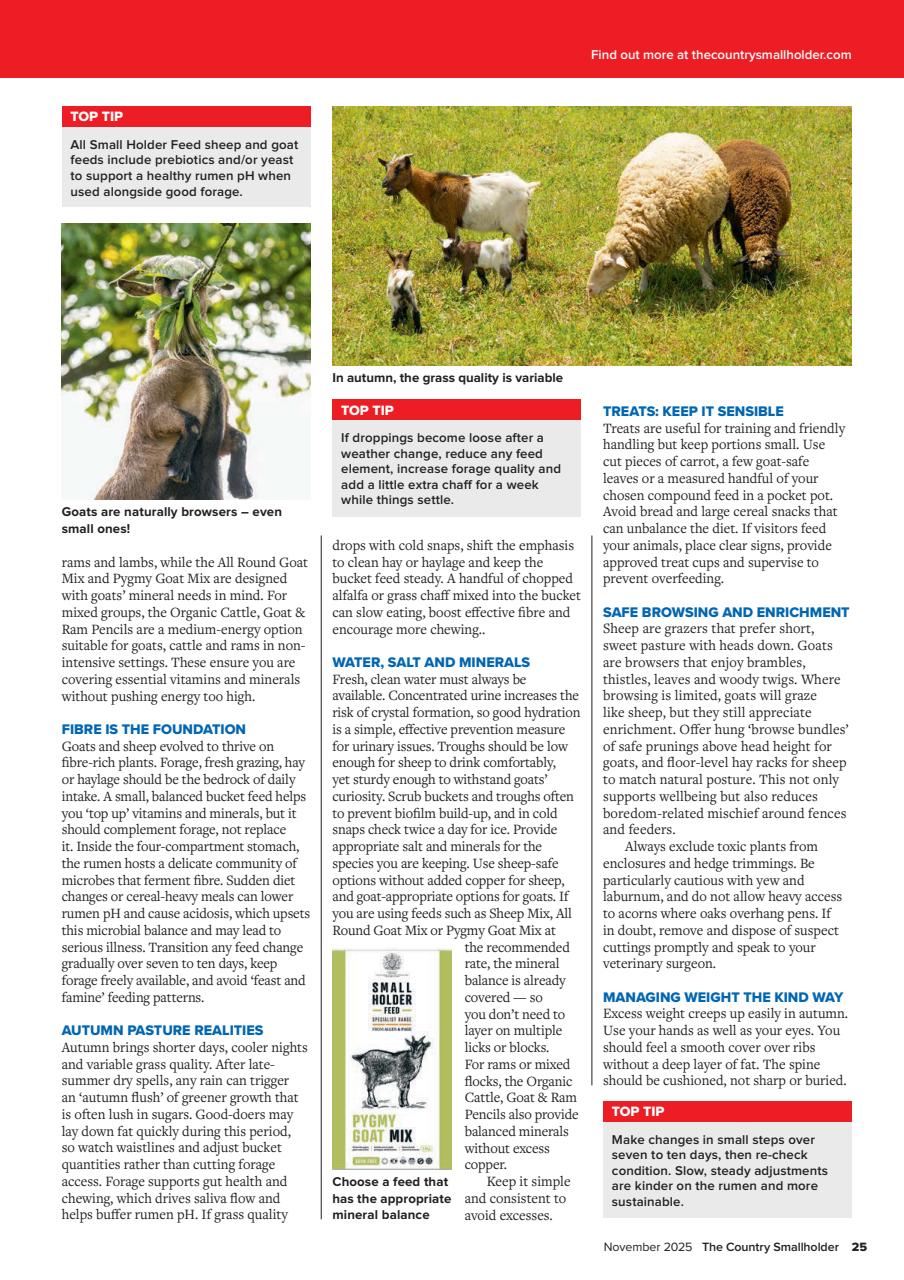 The Country Smallholder Preview Pages