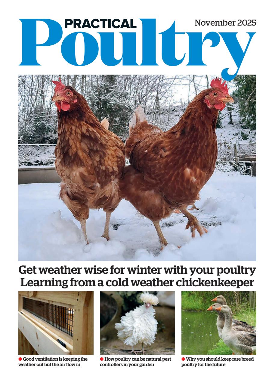 The Country Smallholder Preview Pages