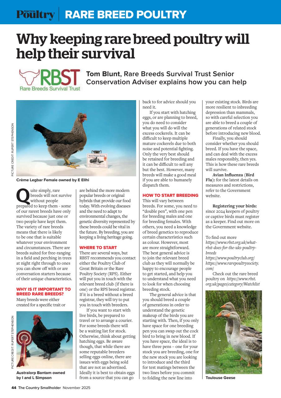 The Country Smallholder Preview Pages