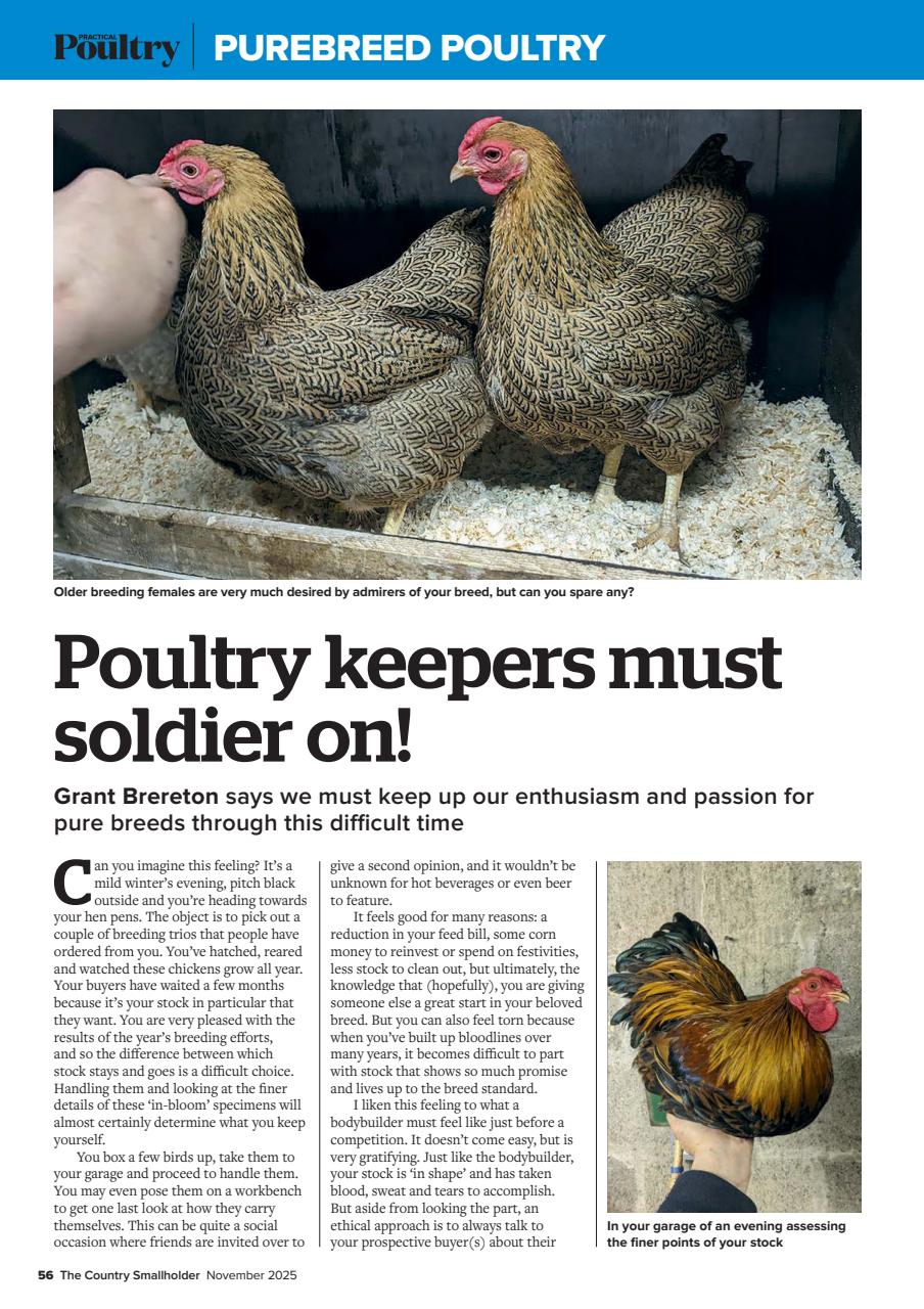 The Country Smallholder Preview Pages