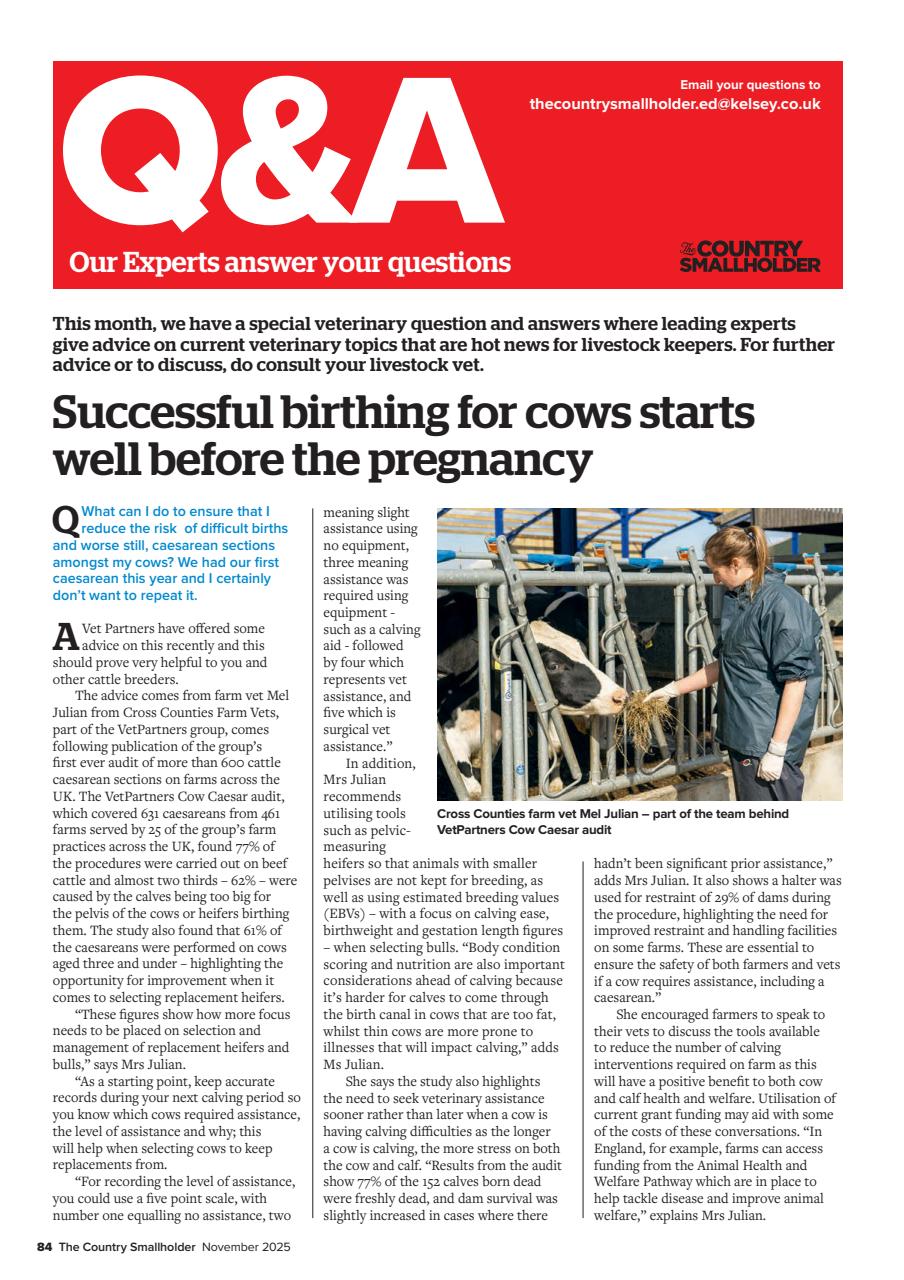 The Country Smallholder Preview Pages