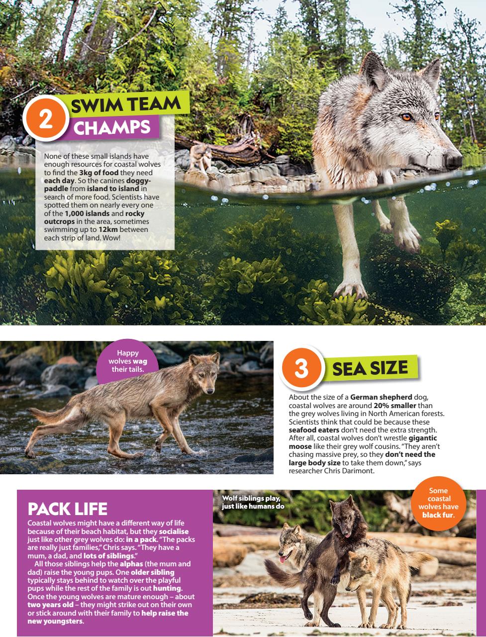 National Geographic Kids Preview Pages