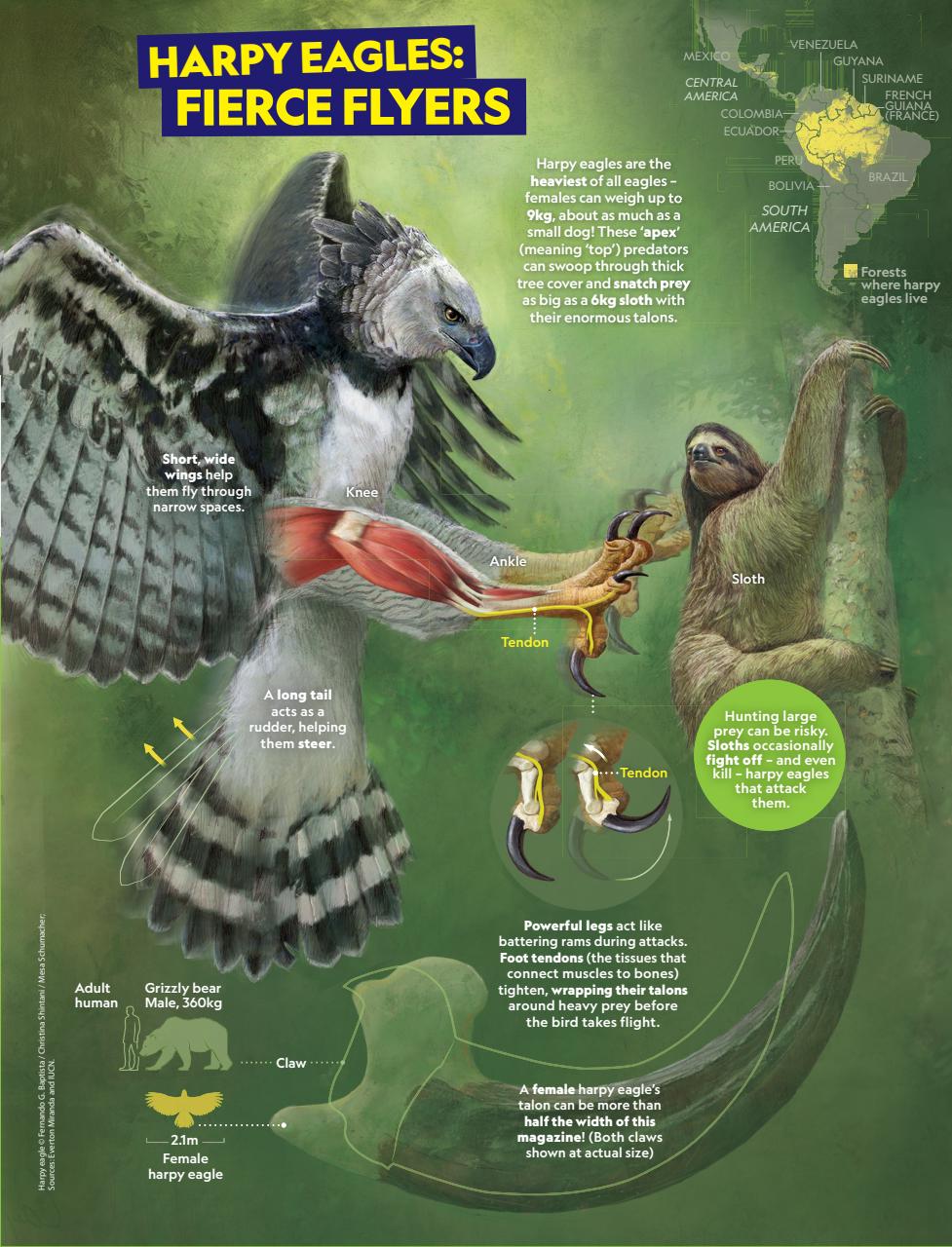 National Geographic Kids Preview Pages