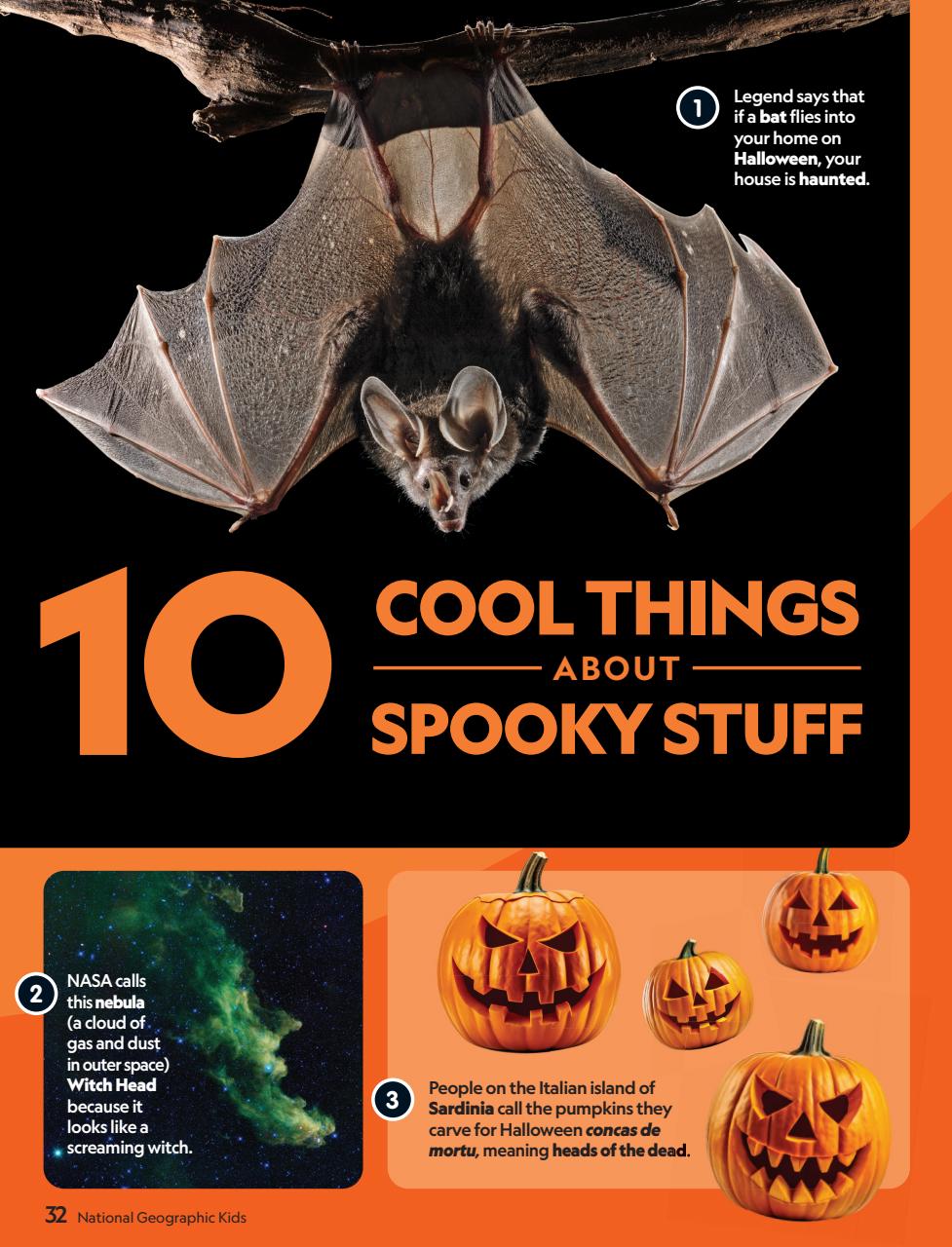 National Geographic Kids Preview Pages