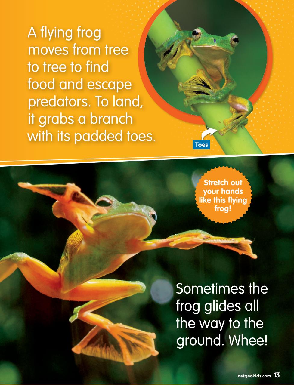National Geographic Little Kids Preview Pages