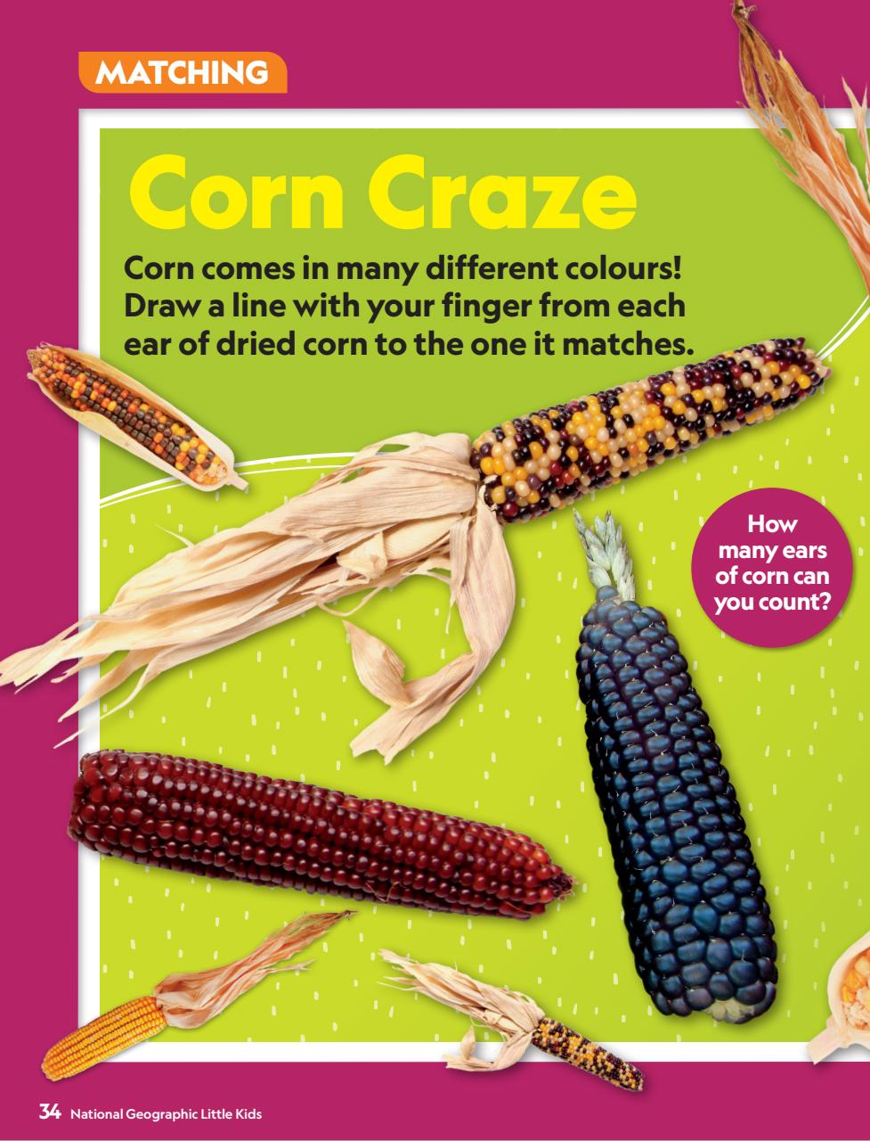 National Geographic Little Kids Preview Pages