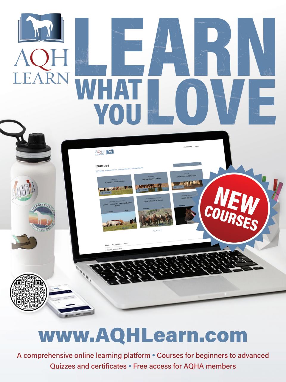 Young Rider Magazine Preview Pages