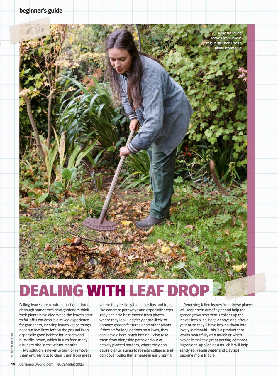BBC Gardeners’ World Magazine Preview Pages