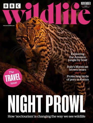 BBC Wildlife Magazine issue 