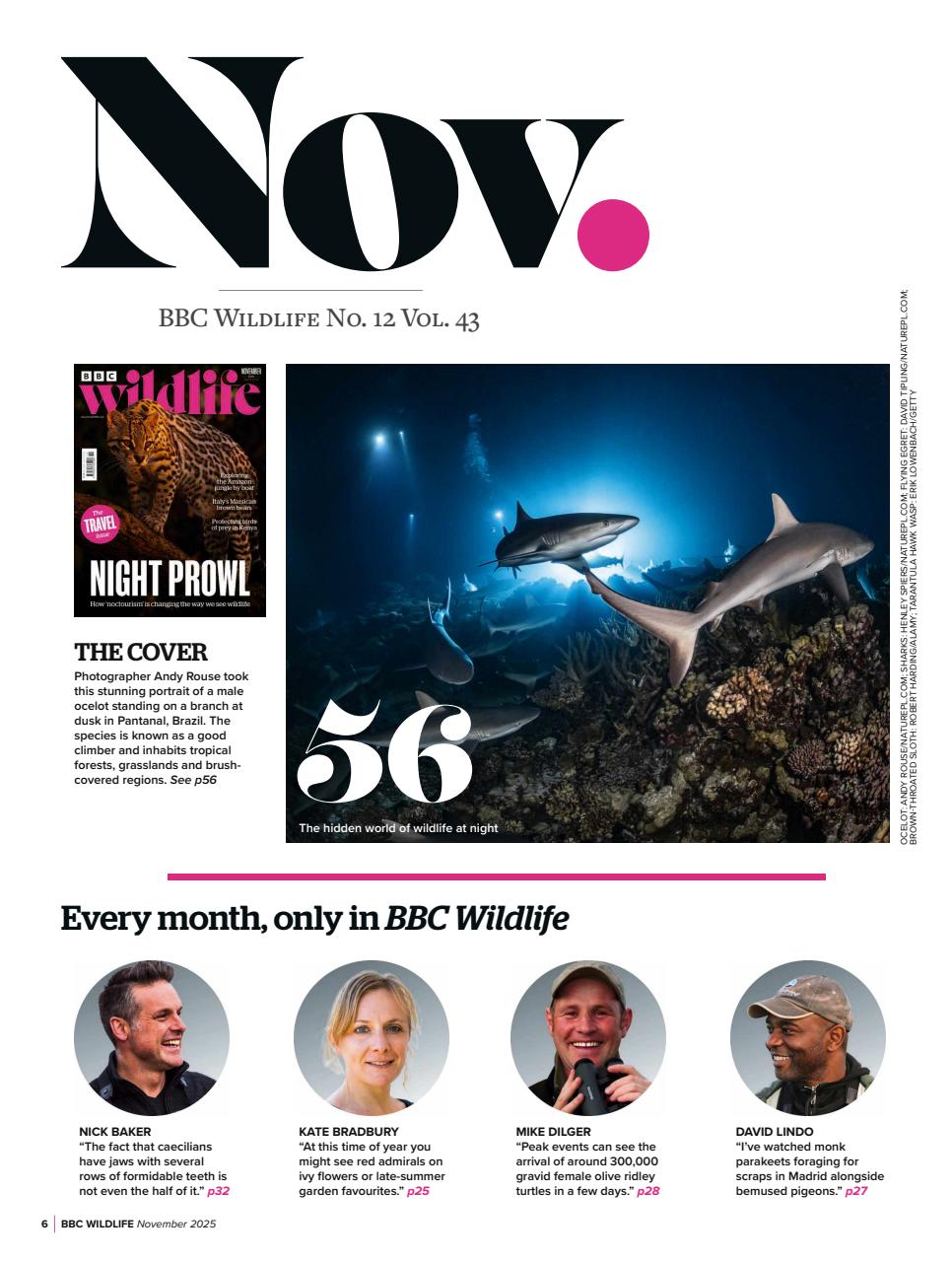 BBC Wildlife Magazine Preview Pages