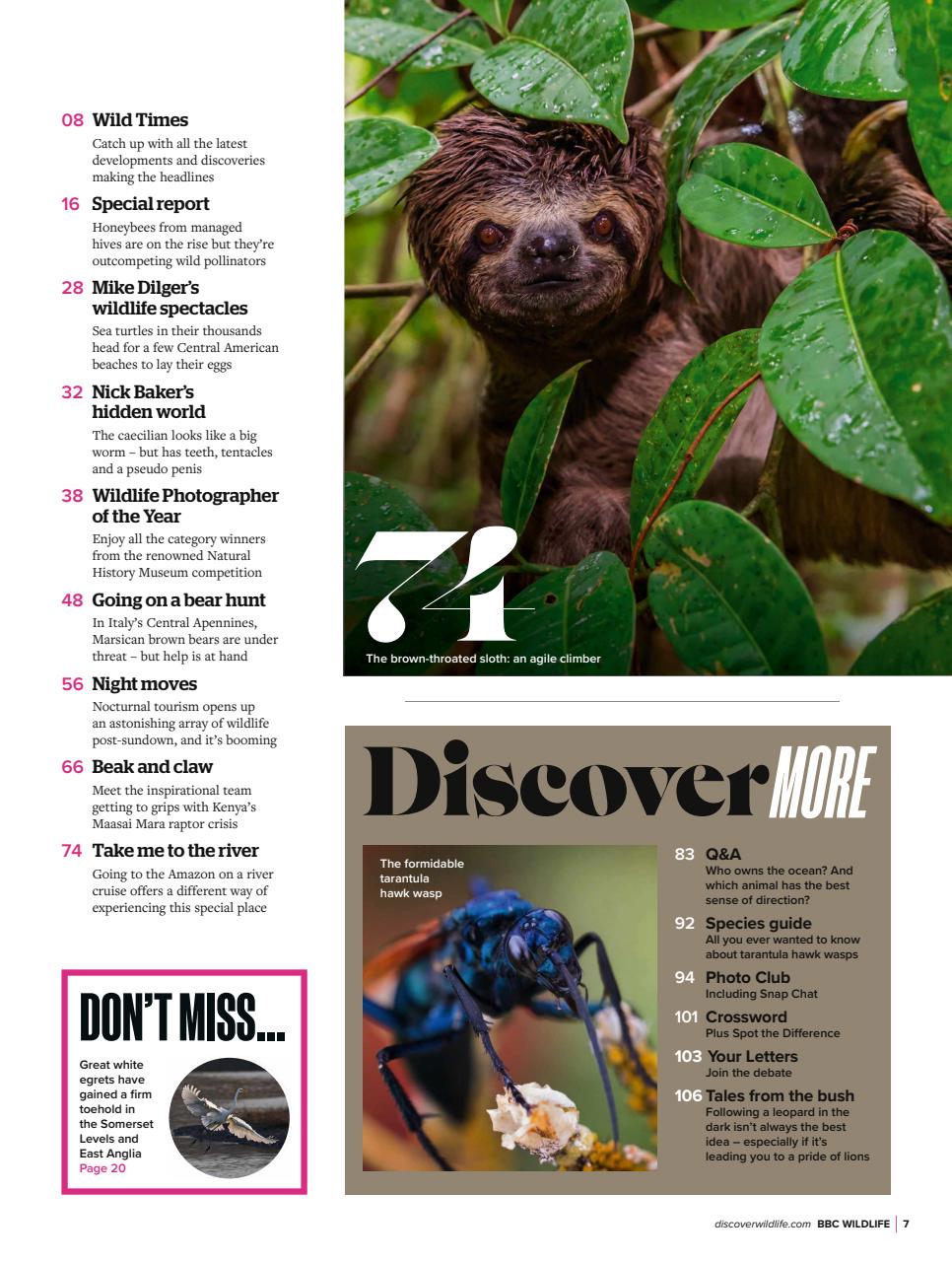 BBC Wildlife Magazine Preview Pages