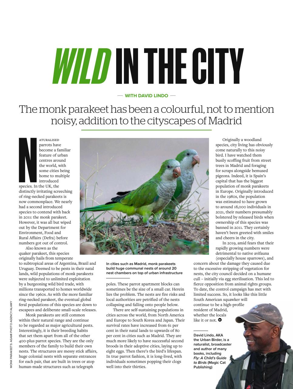 BBC Wildlife Magazine Preview Pages