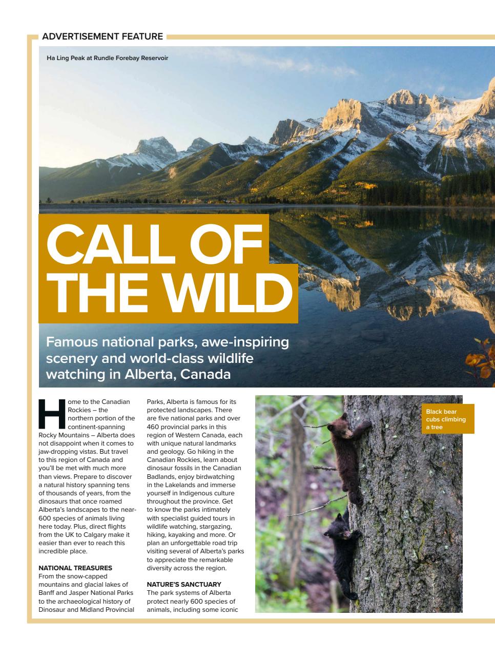 BBC Wildlife Magazine Preview Pages