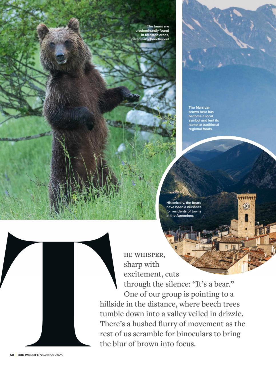 BBC Wildlife Magazine Preview Pages