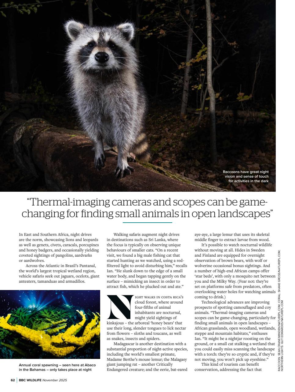 BBC Wildlife Magazine Preview Pages