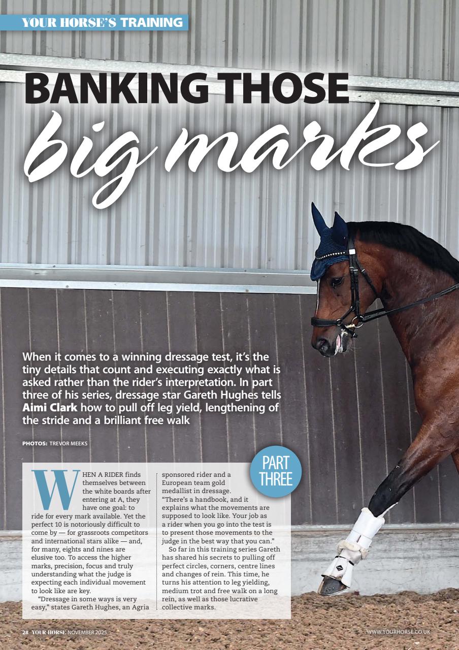 Your Horse Preview Pages