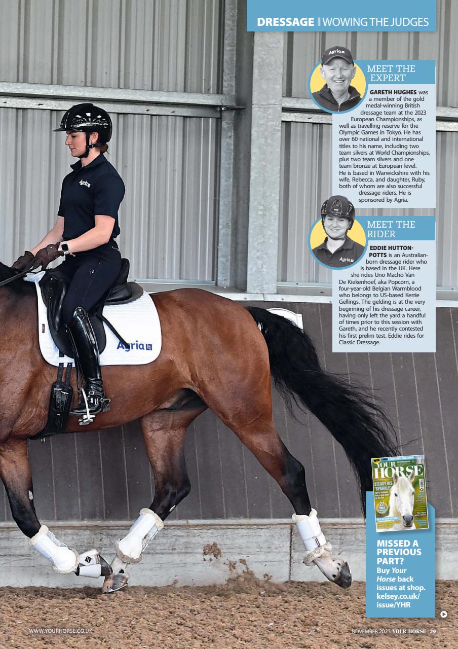 Your Horse Preview Pages