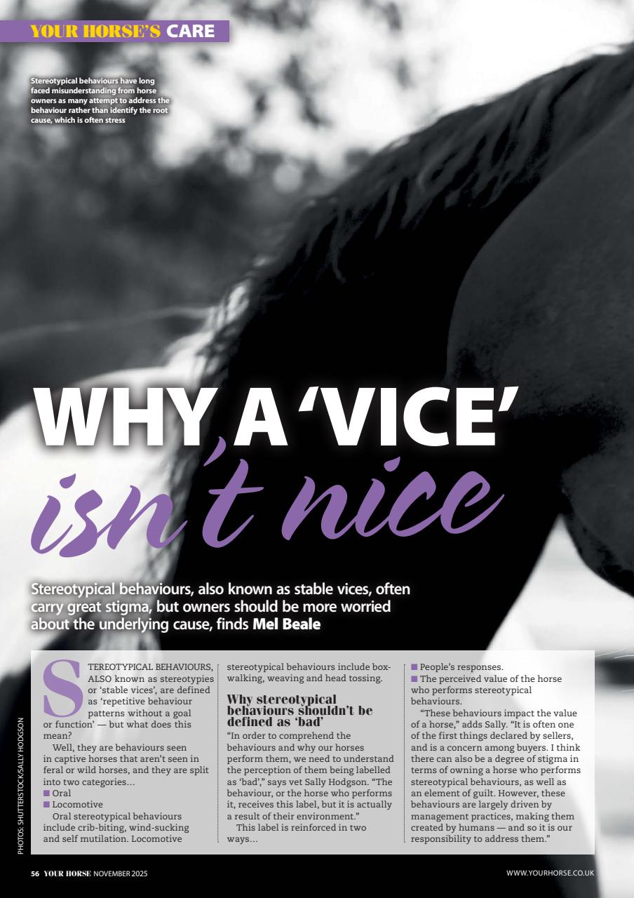 Your Horse Preview Pages