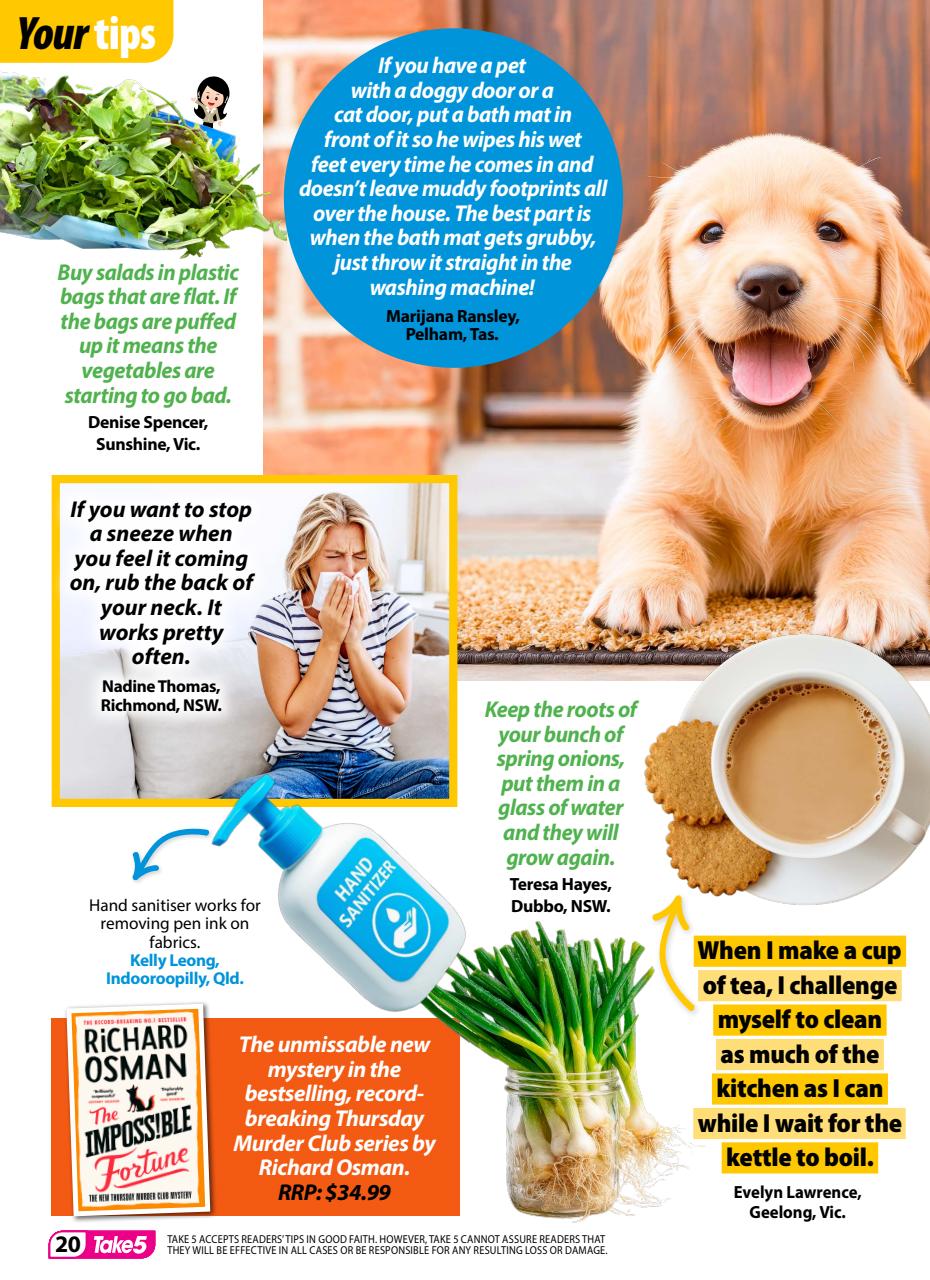 Take 5 Preview Pages