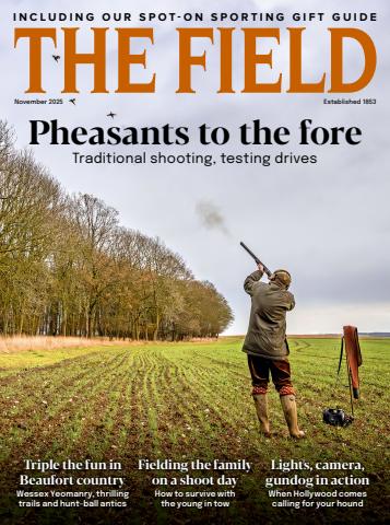 The Field issue November 2025