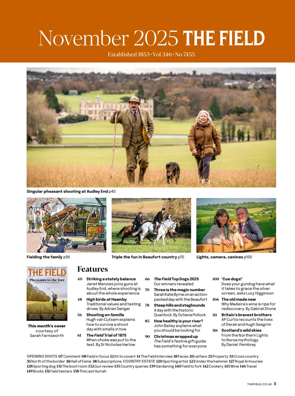 The Field Preview Pages